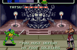Скриншот из игры «Teenage Mutant Ninja Turtles: The HyperStone Heist»