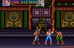 Скриншот из игры «Super Double Dragon»