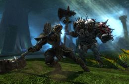 Скриншот из игры «Kingdoms of Amalur: Reckoning»