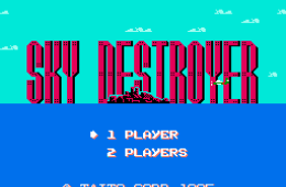 Скриншот из игры «Sky Destroyer»
