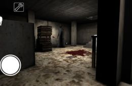 Скриншот из игры «Granny»