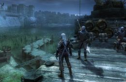 Скриншот из игры «The Witcher»