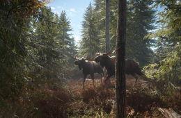 Скриншот из игры «TheHunter: Call of the Wild»
