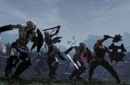 Скриншот из игры «Hunted: The Demon's Forge»