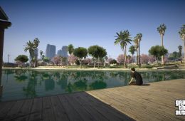 Скриншот из игры «Grand Theft Auto V»