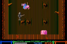 Скриншот из игры «Wizards & Warriors»
