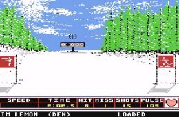 Скриншот из игры «Winter Games»