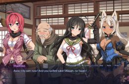 Скриншот из игры «Sakura Spirit»