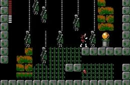 Скриншот из игры «Castlevania II: Simon's Quest»