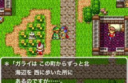 Скриншот из игры «Dragon Quest»