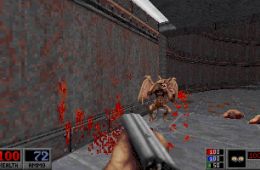 Скриншот из игры «Blood»