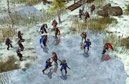 Скриншот из игры «The Settlers: Heritage of Kings»