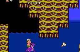 Скриншот из игры «Adventure Island II»