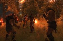 Скриншот из игры «Drakensang: The Dark Eye»