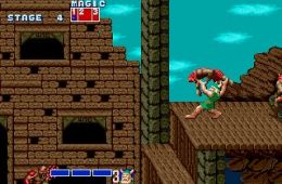 Скриншот из игры «Golden Axe»