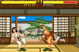 Скриншот из игры «Fighter's History»