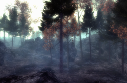 Скриншот из игры «Slender: The Arrival»