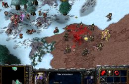 Скриншот из игры «Warcraft III: Reign of Chaos»