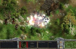 Скриншот из игры «Age of Wonders: Shadow Magic»