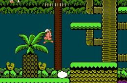 Скриншот из игры «Adventure Island II»