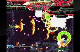 Скриншот из игры «Blazing Star»