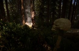 Скриншот из игры «Sons of the Forest»