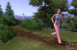 Скриншот из игры «The Sims 3»