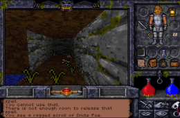 Скриншот из игры «Ultima Underworld II: Labyrinth of Worlds»