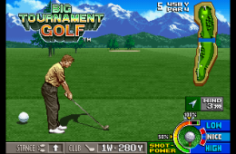Скриншот из игры «Neo Turf Masters»