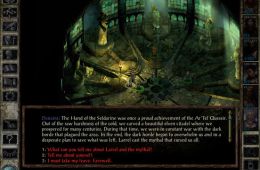 Скриншот из игры «Icewind Dale»