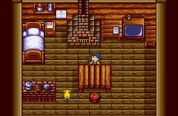 Скриншот из игры «Harvest Moon»