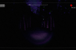 Скриншот из игры «Slender: The Arrival»