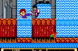 Скриншот из игры «Jackie Chan's Action Kung Fu»