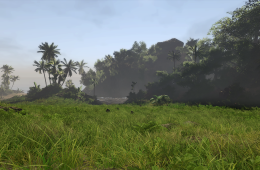 Скриншот из игры «Risen 2: Dark Waters»