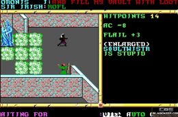 Скриншот из игры «Advanced Dungeons & Dragons: Pool of Radiance»