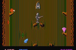 Скриншот из игры «Wizards & Warriors»