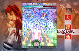 Скриншот из игры «DoDonPachi Resurrection»