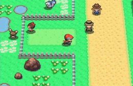 Скриншот из игры «Pokémon Diamond Version»