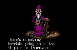 Скриншот из игры «Shining in the Darkness»