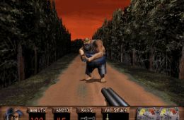 Скриншот из игры «Redneck Rampage»