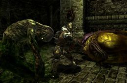 Скриншот из игры «Divinity II: Developer's Cut»