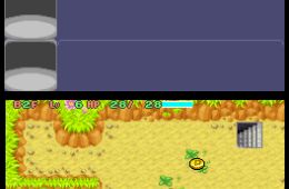 Скриншот из игры «Pokémon Mystery Dungeon: Blue Rescue Team»