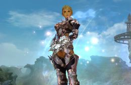 Скриншот из игры «Lineage II»