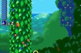 Скриншот из игры «Sonic Rush»