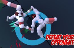 Скриншот из игры «Toribash»