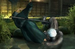 Скриншот из игры «Tenchu: Shadow Assassins»