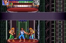 Скриншот из игры «Super Double Dragon»