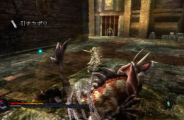 Скриншот из игры «Pandora's Tower»