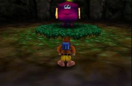 Скриншот из игры «Banjo-Kazooie»