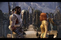 Скриншот из игры «Dragon Age: Origins»